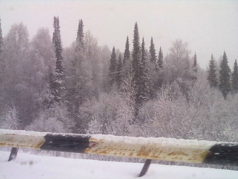 Марина Крохта 