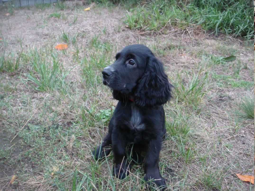 Евгения Клюшникова | Челябинск