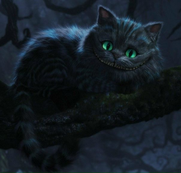 №64, Дениско Берко, Киев №64, Дениско Берко, Киев