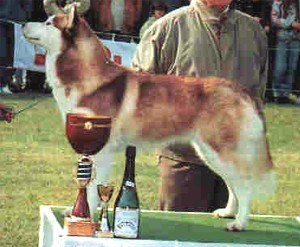 Катерина Платонова | Larnaca