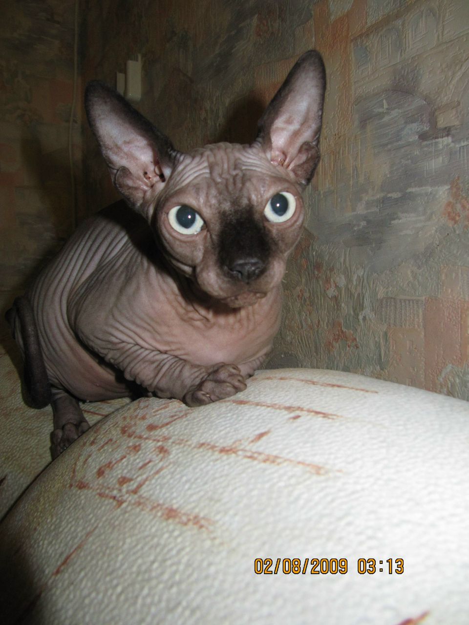 Ольга Титаренко | Запорожье