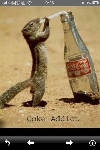 Евгений Комиссаров | Новосибирск