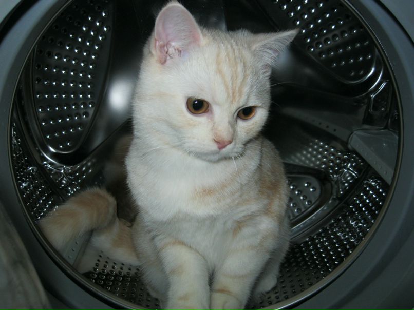 Zaliya Hamzina | Нижнекамск