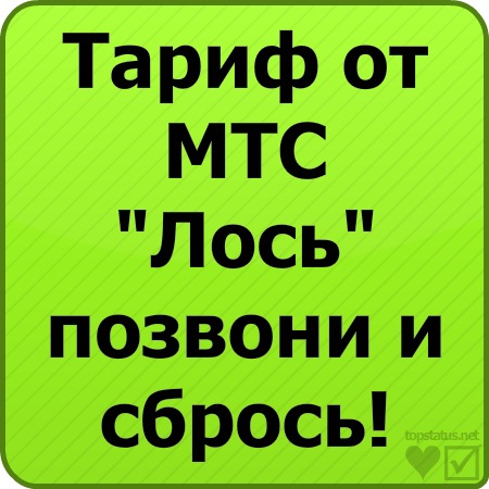 №61, Христина Колодрібська, 32 года, Шировцы №61, Христина Колодрібська, 32 года, Шировцы