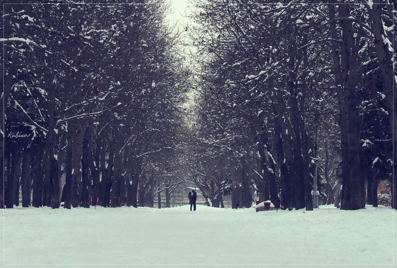 Антонина Свистоплясова | 