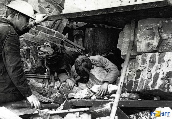 Йохан Шлакенблокк Карл-Фриц фон | Киев