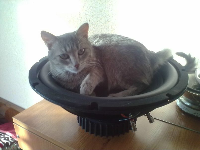 Иван Ясаков | Ярославль