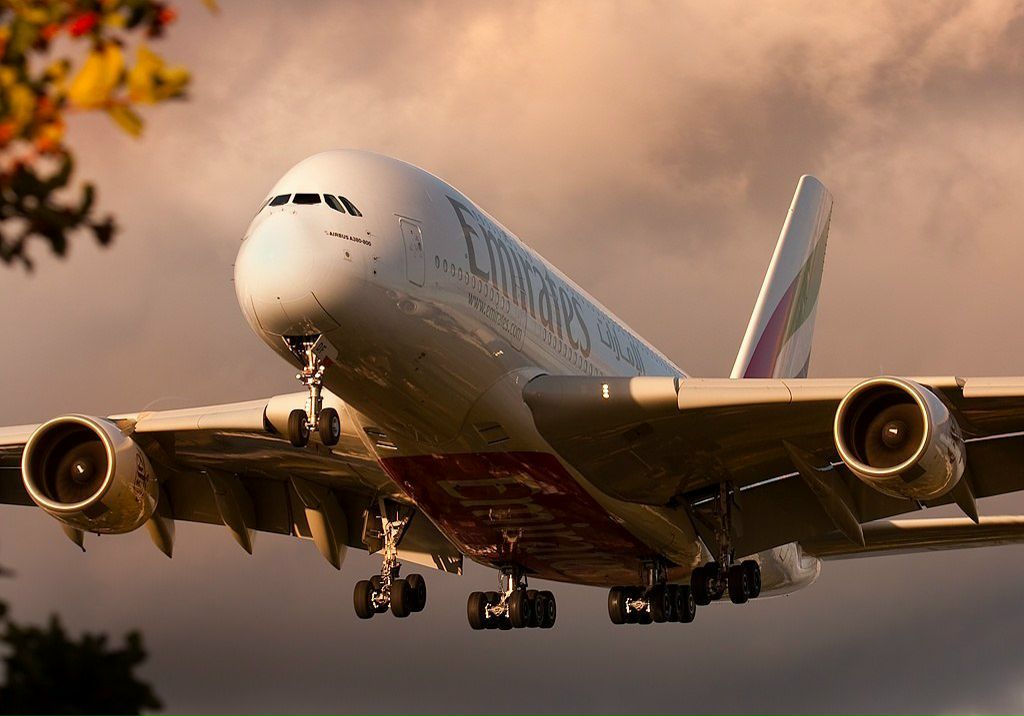 Сергей Орельский | Санкт-Петербург