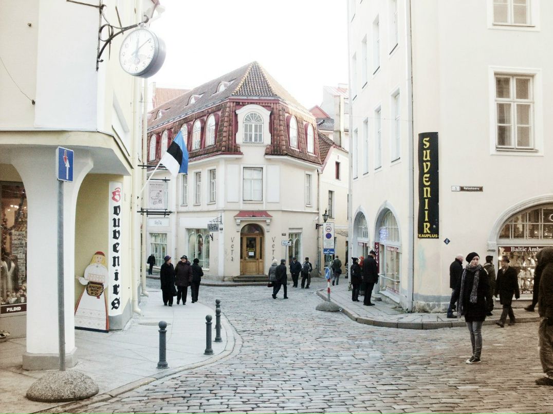 Николай Коломейцев | Санкт-Петербург