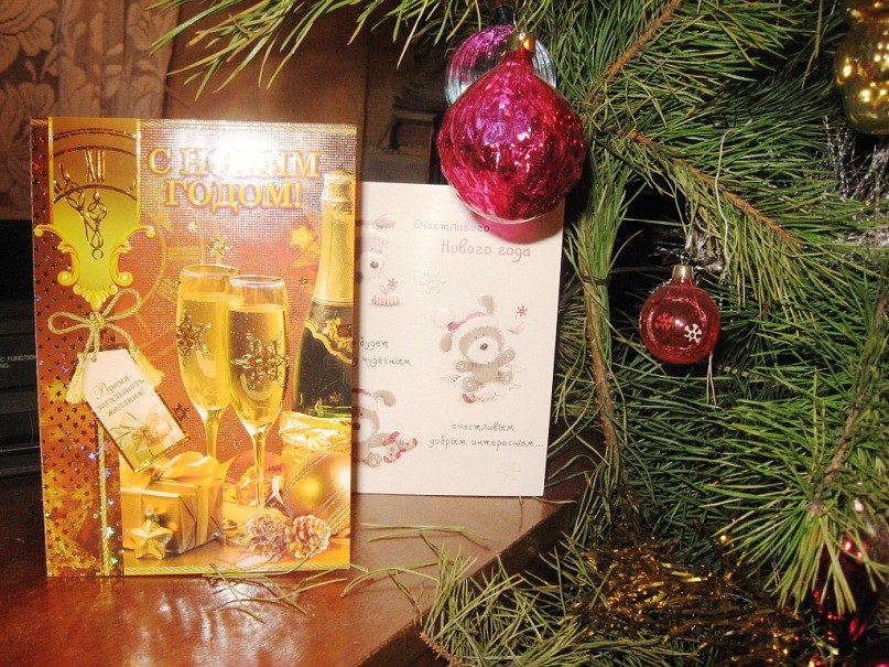 Алла Петрушина | Тула