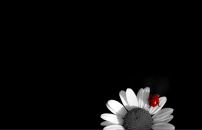 №3, Александр Хохлачёв, 6.8, Уральск, Казахстан №3, Александр Хохлачёв, 6.8, Уральск, Казахстан