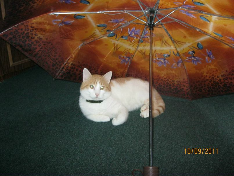 Ваня Капитонов КАПИТАН | Санкт-Петербург