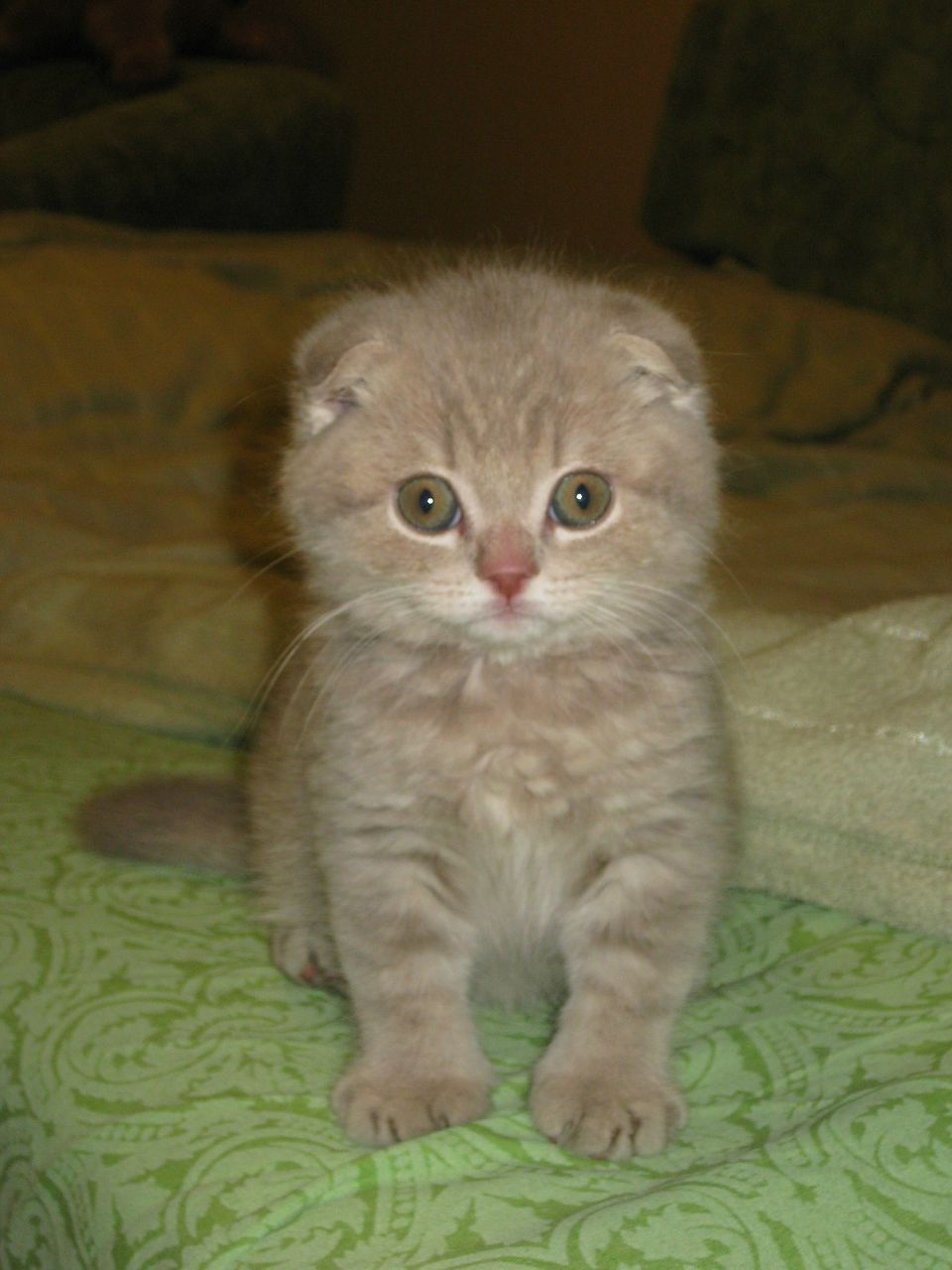 Борис Бармин | Нижний Новгород