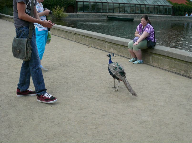 Павел Дешевцев | Москва