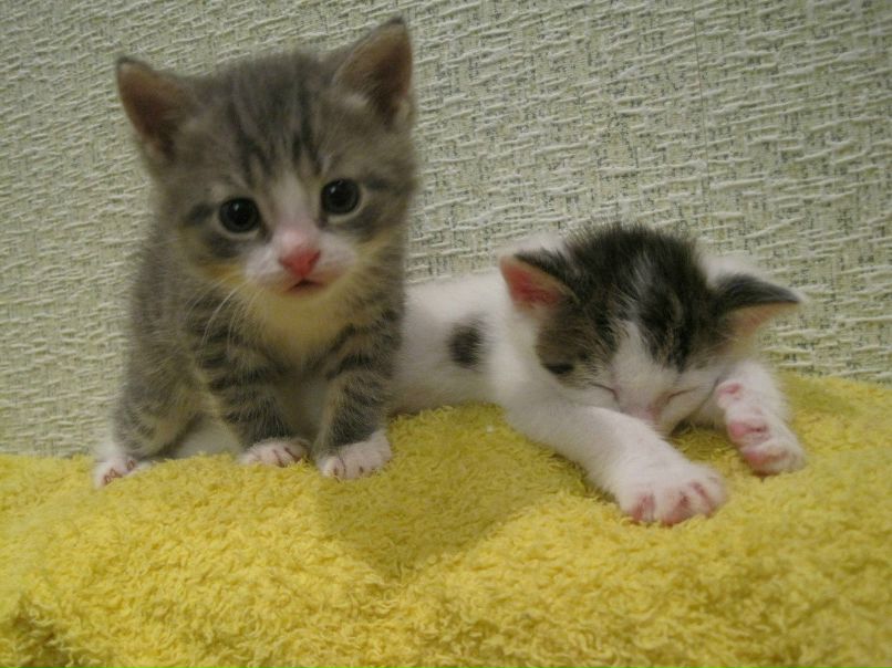 Наталья Кожевникова | Санкт-Петербург