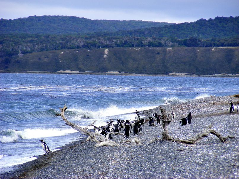 Иван Павлов | Санкт-Петербург