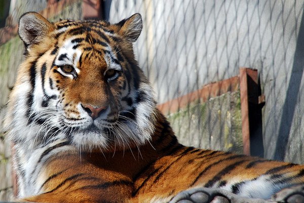Настя Журавлева | Санкт-Петербург
