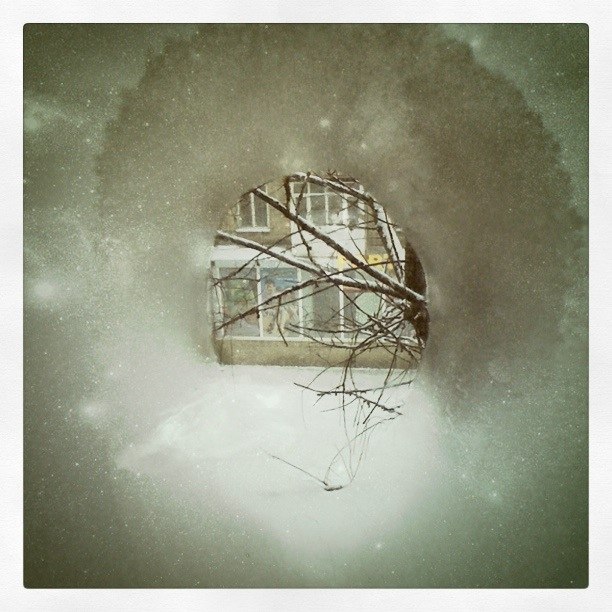 Александра Квачан | Los Angeles