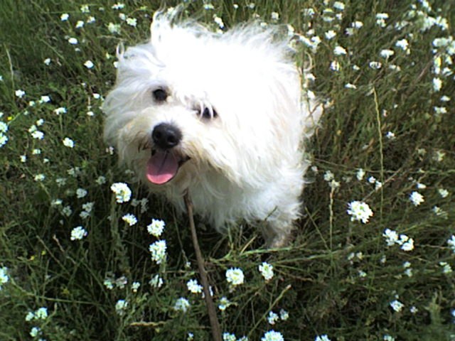 Таня Марченко | Лубны