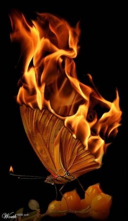 Вячеслав Матвиенко | Киев