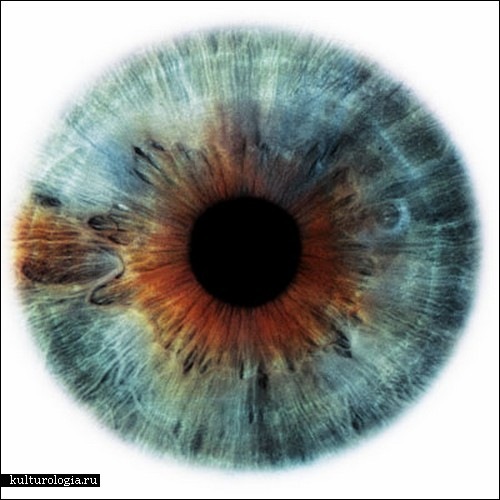 №26, Сергей Анатольевич №26, Сергей Анатольевич