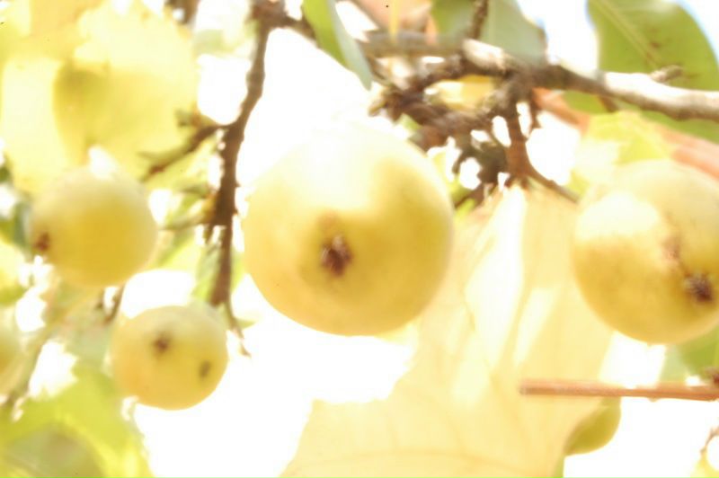 №79, Юлія Хижняк, 41 год, Киев №79, Юлія Хижняк, 41 год, Киев