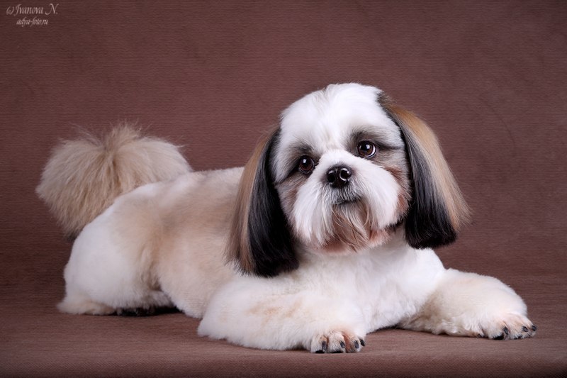 Дарья Радченко | Санкт-Петербург