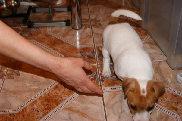 №13, Ульяна Лукашина, Санкт-Петербург №13, Ульяна Лукашина, Санкт-Петербург