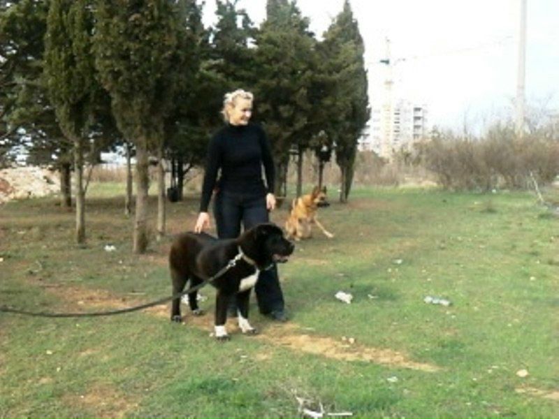 №40, Руслан Гордеев, Львов №40, Руслан Гордеев, Львов