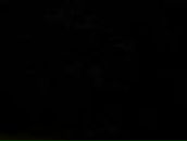 Алсу Мурыгина | Казань