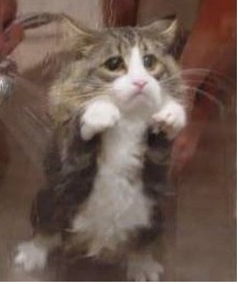 Сергей Крюков | Магнитогорск