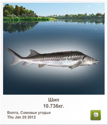 Александр Силин | Великие Луки