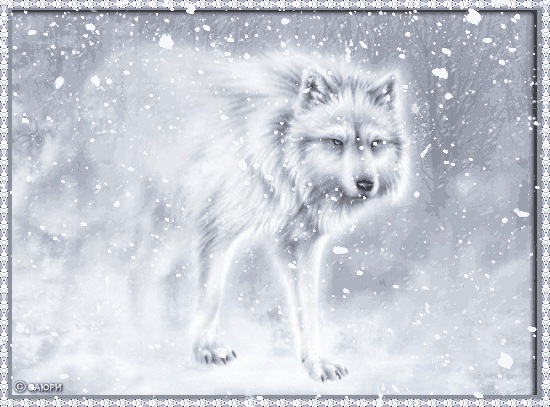 №43, Руслан Багирус, Москва, Россия №43, Руслан Багирус, Москва, Россия