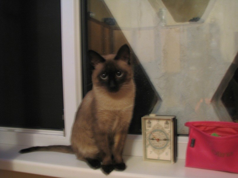 Баур Ермекбаев | Алматы