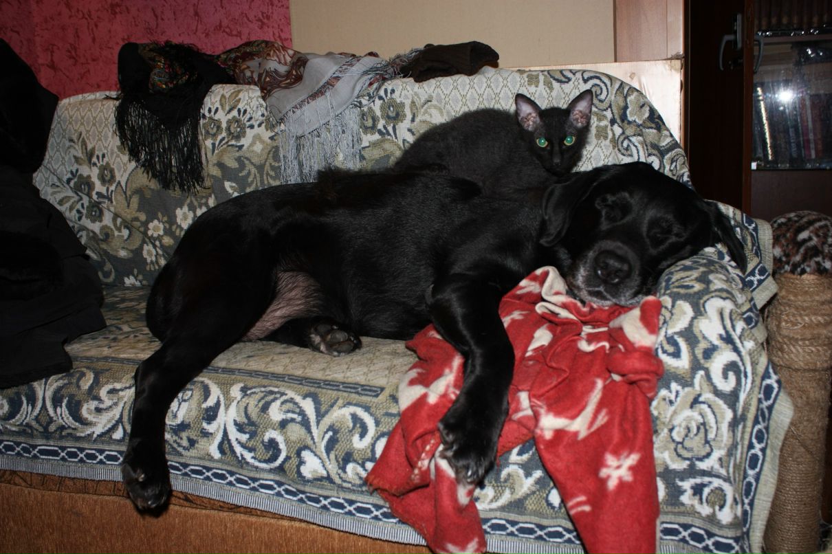 Татьяна Фатеева | Москва