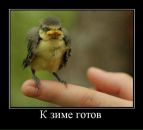 Фотография Вадим Кабанец