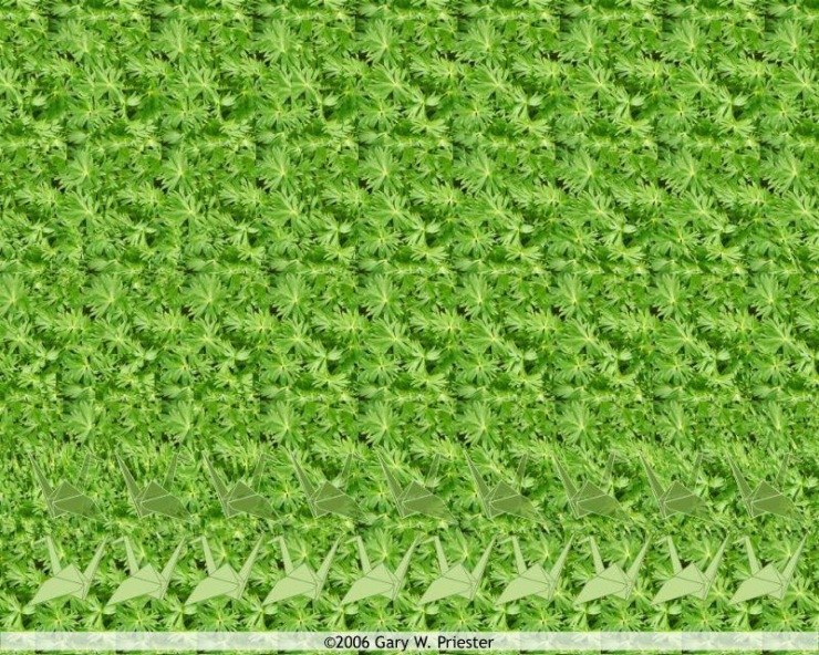 Насёнка Дудченко | Ольховец