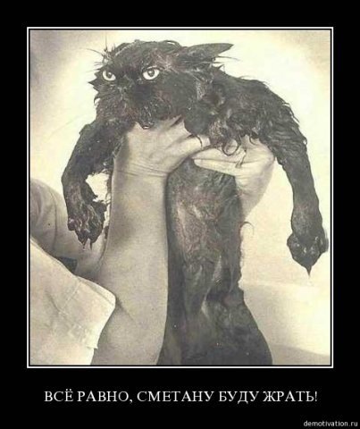 №6, Олег Ефимов №6, Олег Ефимов