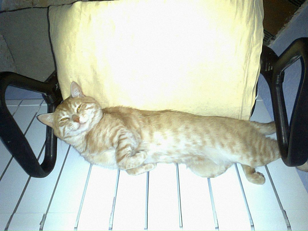 Сережка Бурмистренко BurMool'kO | Киев