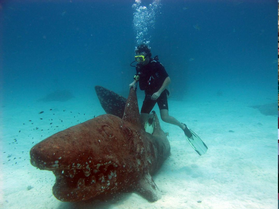 Борис Пеккер | Санкт-Петербург