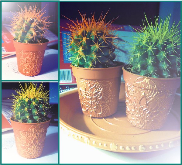 Анастасия Слободянюк | Киев