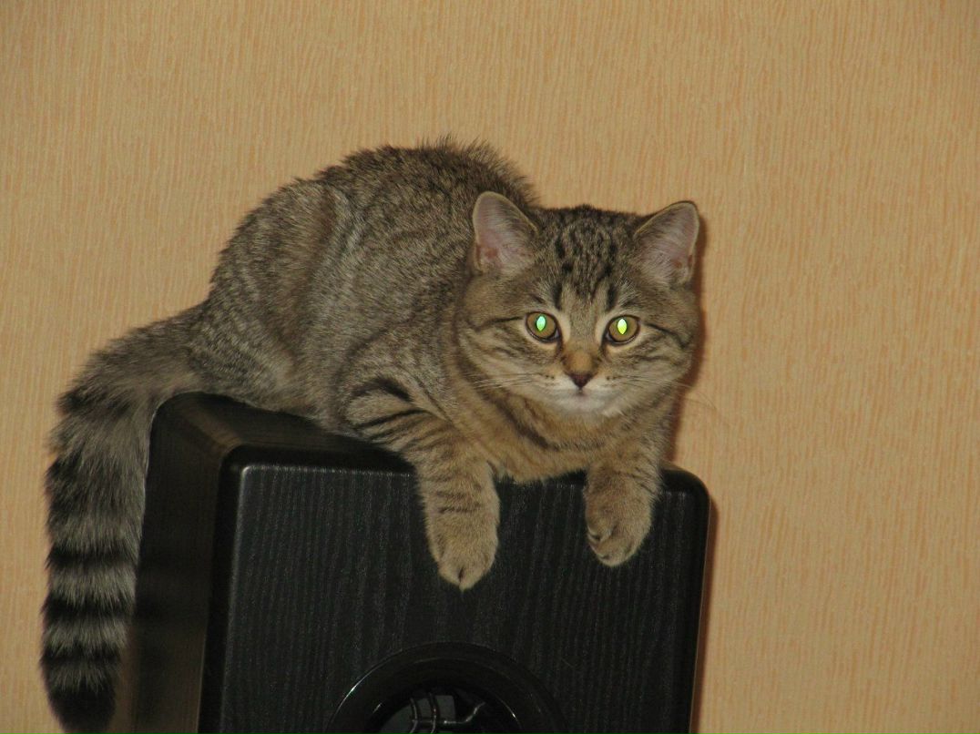 Вероника Губанова | Новокузнецк