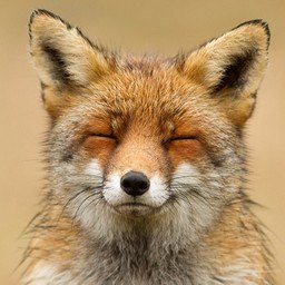 Алексей Каратеев | Москва