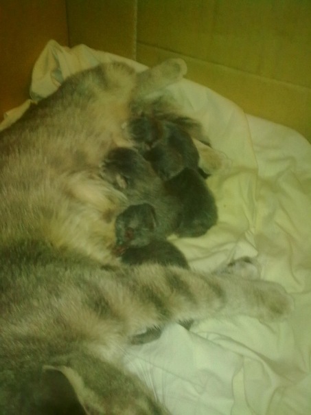 №22, Влад Козлов, Самара №22, Влад Козлов, Самара