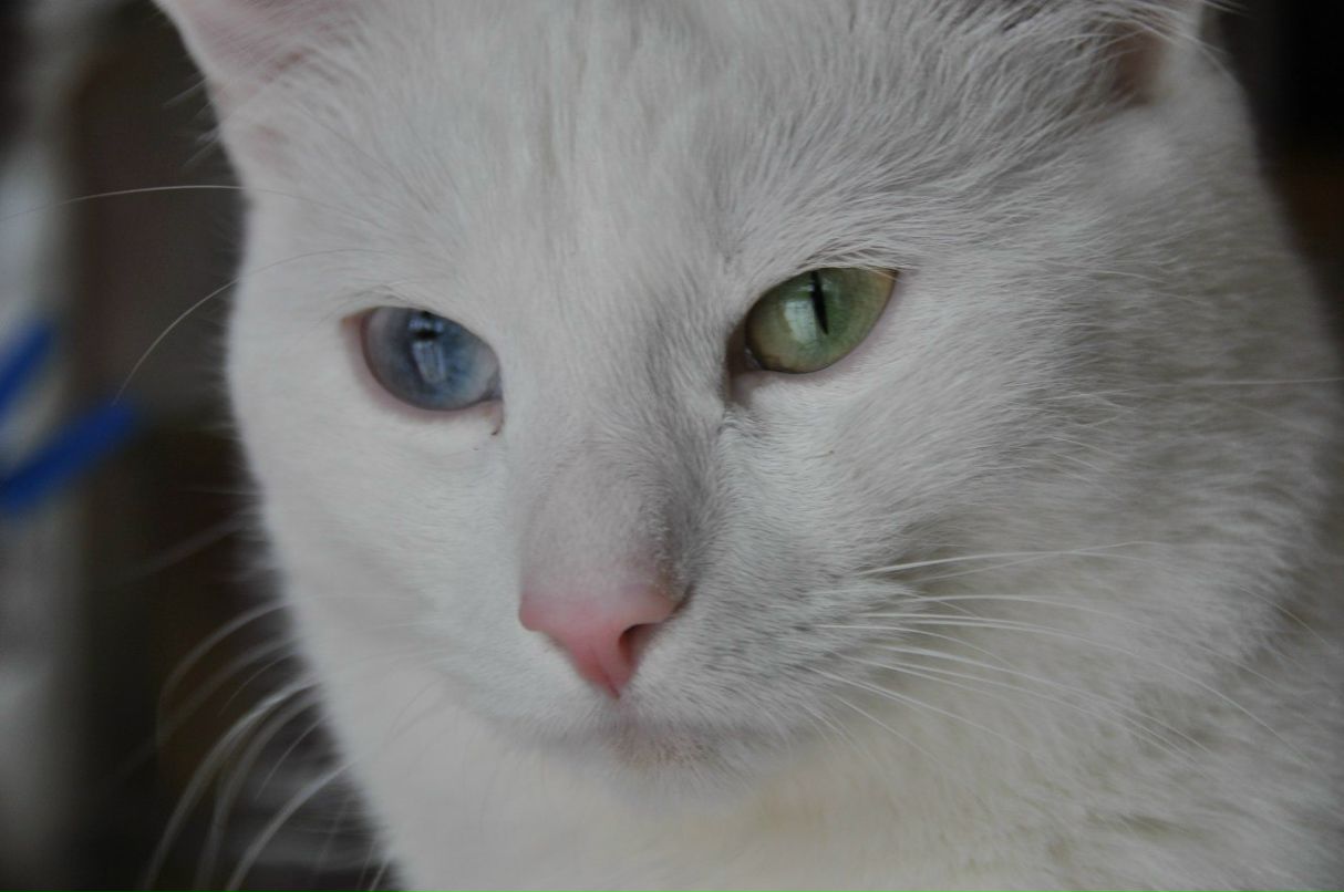 Андрей Исаков 42nA | Москва