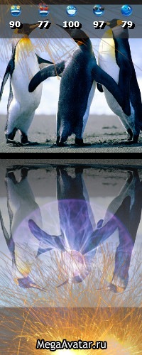 №136, Алеся Величко, Саки №136, Алеся Величко, Саки