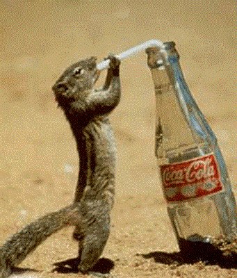 Владимир Завьялов | Москва