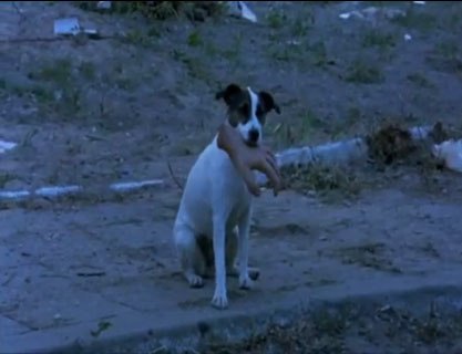 Камилла Казак | 