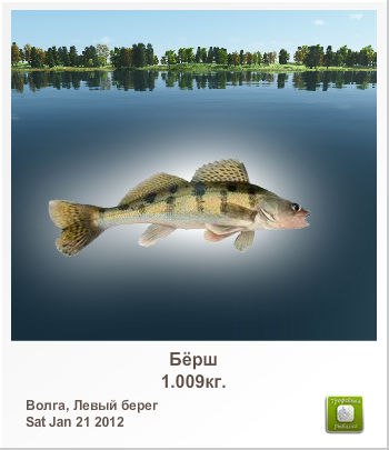 Владимир Софронов | Саранск