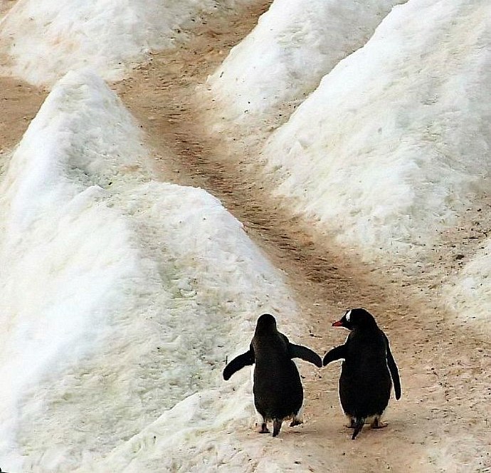 Любовь Лямина | Санкт-Петербург